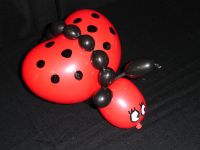 Ballon Coccinelle